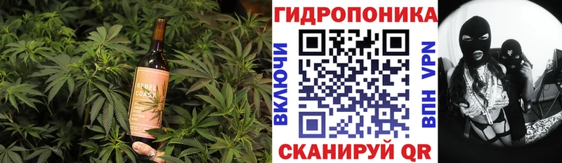 Canna-Cookies марихуана  MEGA ссылка  Североуральск 