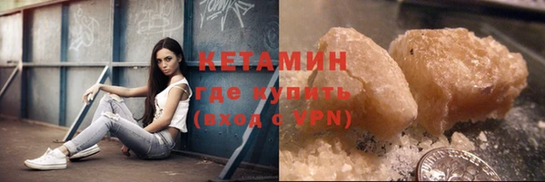 крисы Новодвинск
