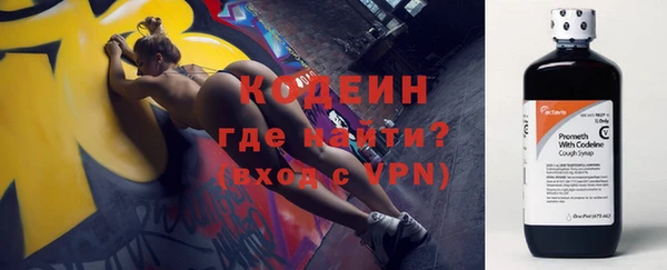 мдпв Новозыбков