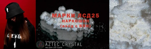 крисы Новодвинск