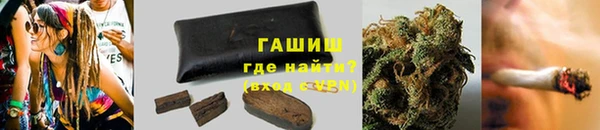 мдпв Новозыбков