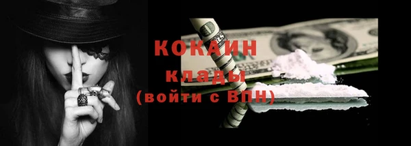 мдпв Новозыбков