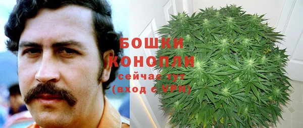 крисы Новодвинск