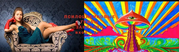 сатива Нягань