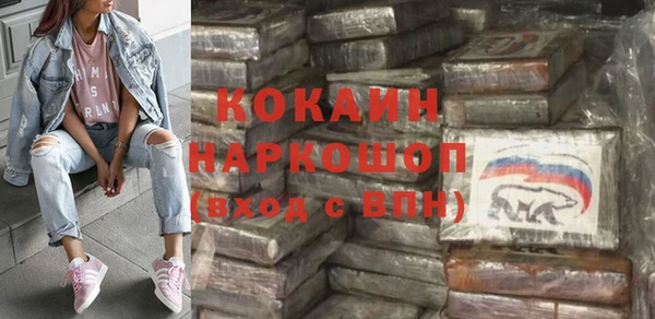 крисы Новодвинск