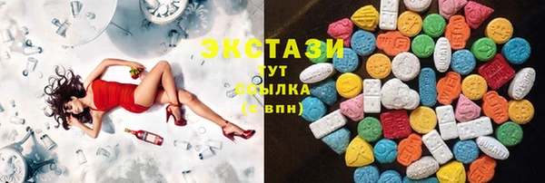 мдпв Новозыбков