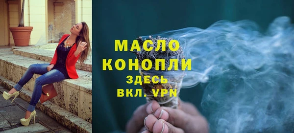 крисы Новодвинск