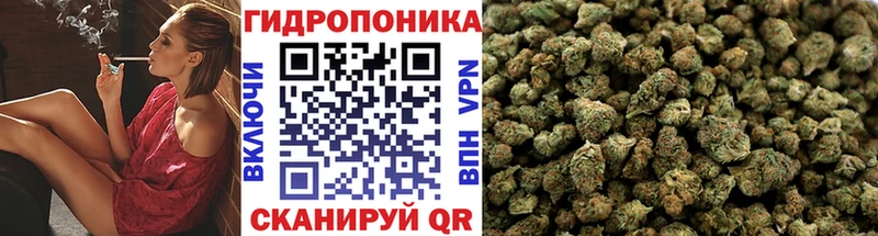 hydra сайт  Североуральск  Канабис THC 21% 